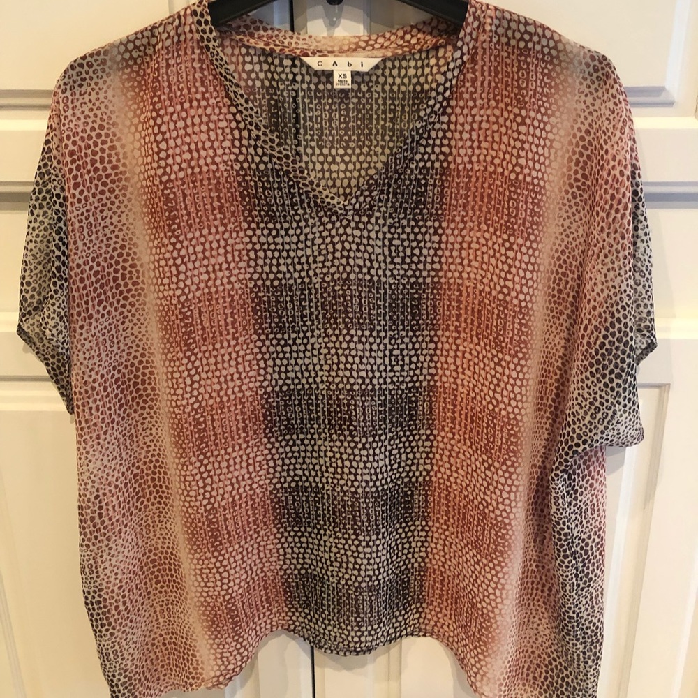Cabi sheer top